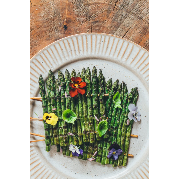 Maartje Borst & Lisette Kreischer – Vlam in de plant Vlam in de Plant Maartje Borst & Lisette Kreischer