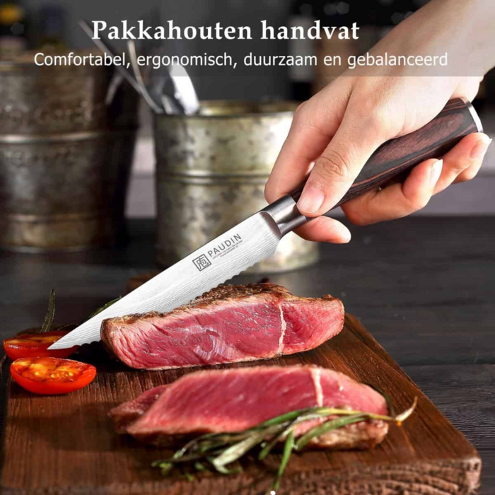 Paudin Universal S3 Premium Steakmessen Set Paudin