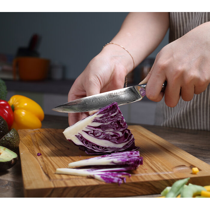 Paudin Plume Luxe P6 Officemes Paudin