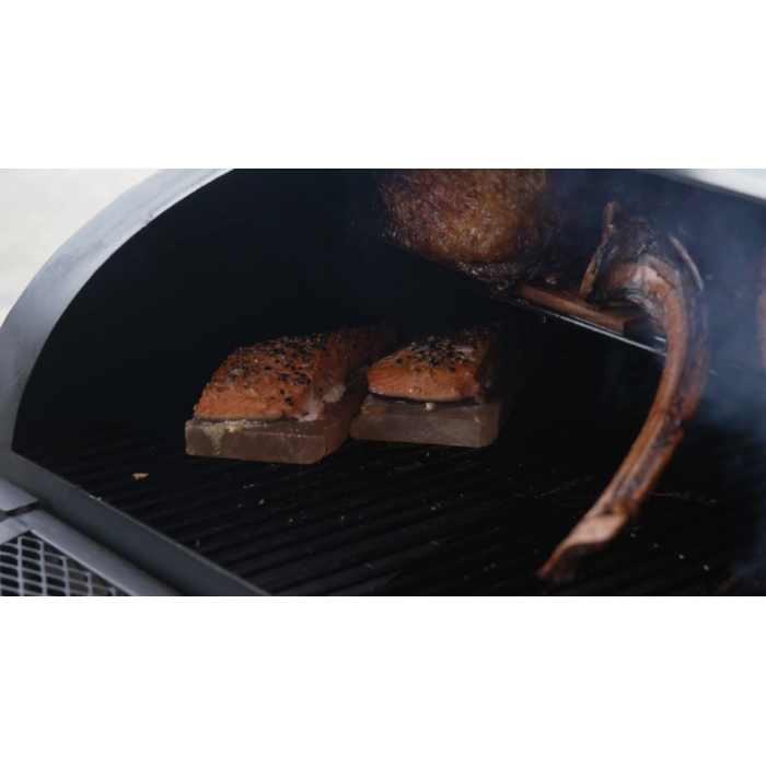 Landmann Landmann Vinson 200 smoker