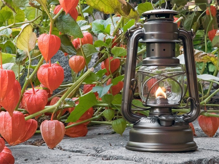 Feuerhand Feuerhand Stormlamp 276 Brons
