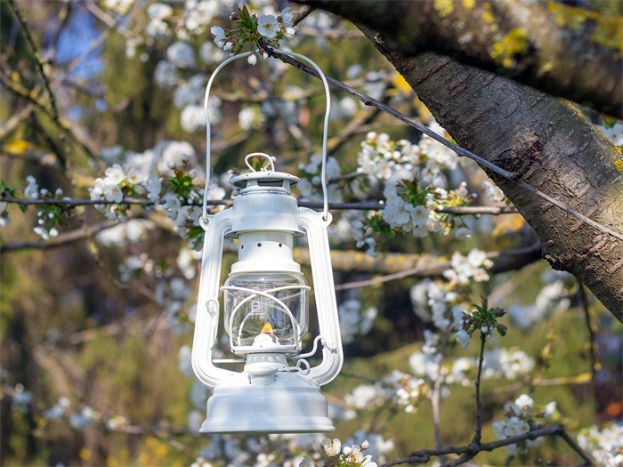 Feuerhand Feuerhand Stormlamp 276 Puur Wit