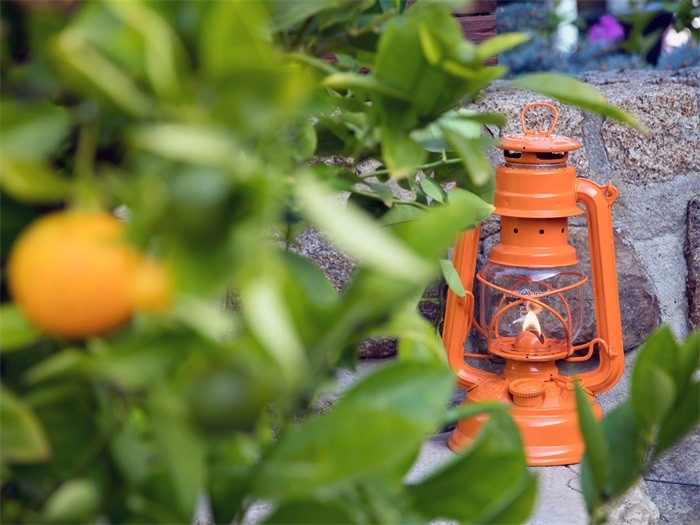 Feuerhand Feuerhand Stormlamp 276 Oranje