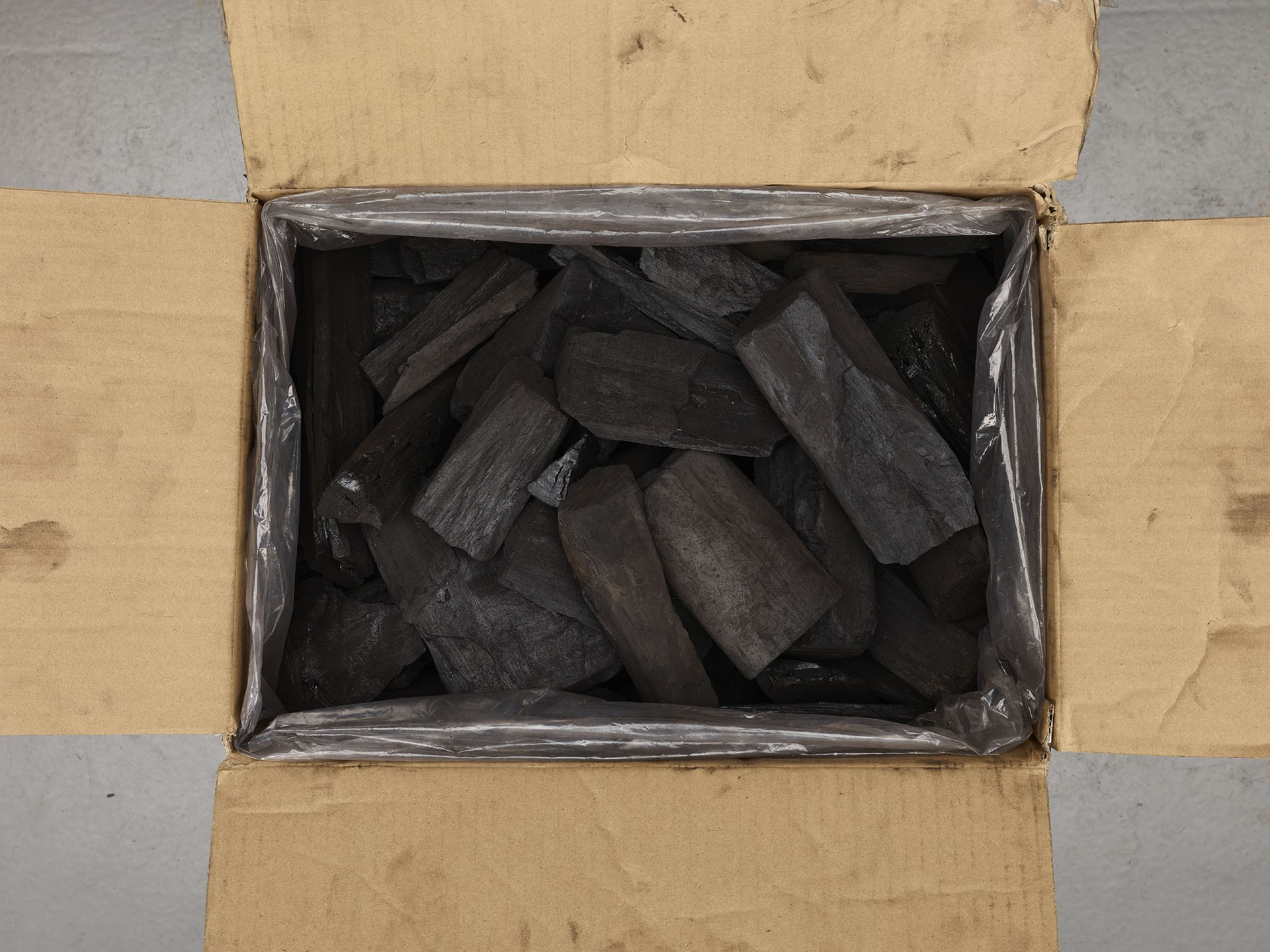 Flames & Flavour Houtskool Aziatische Eucalyptus Big Block Houtskool 18 kilo – Flames & Flavour