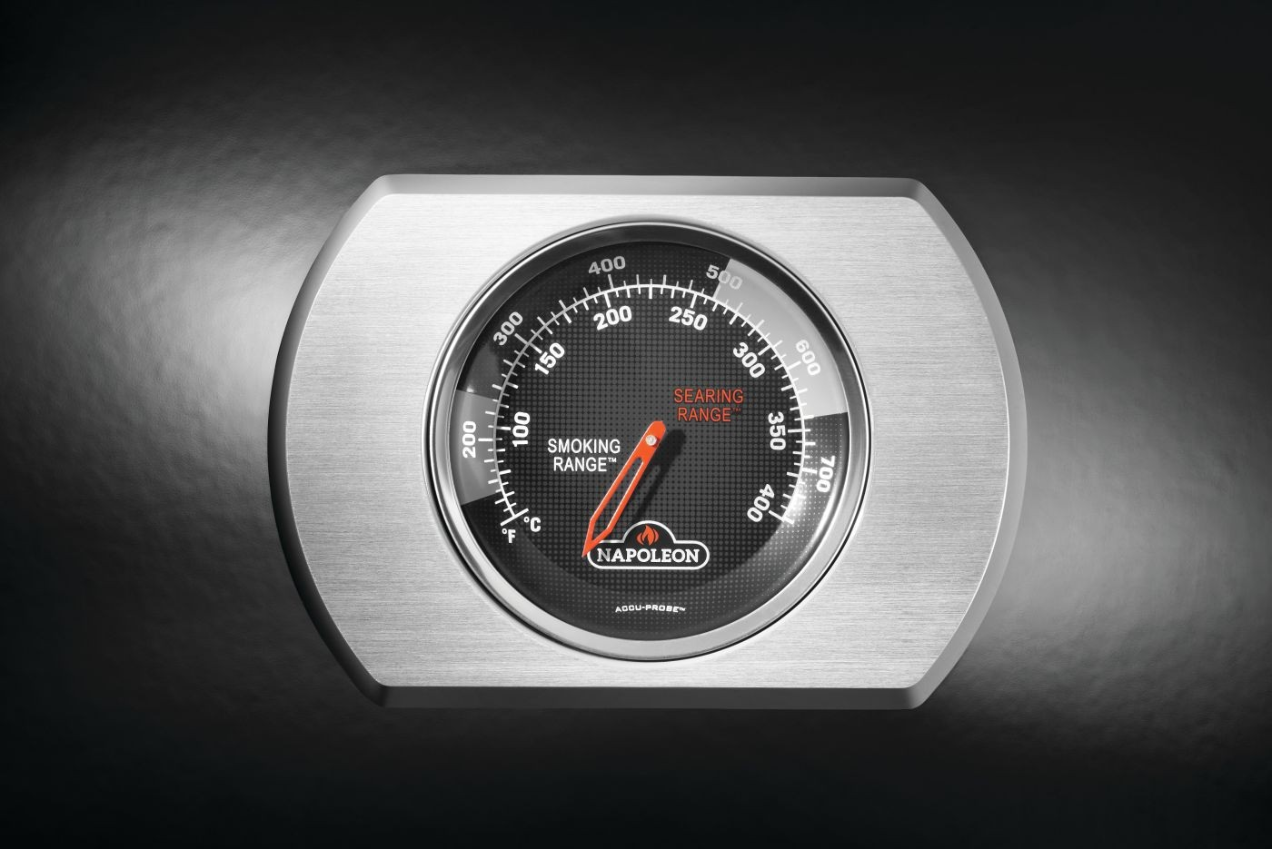 Napoleon Napoleon Rogue® 425 RSB met Infrarood Achterbrander