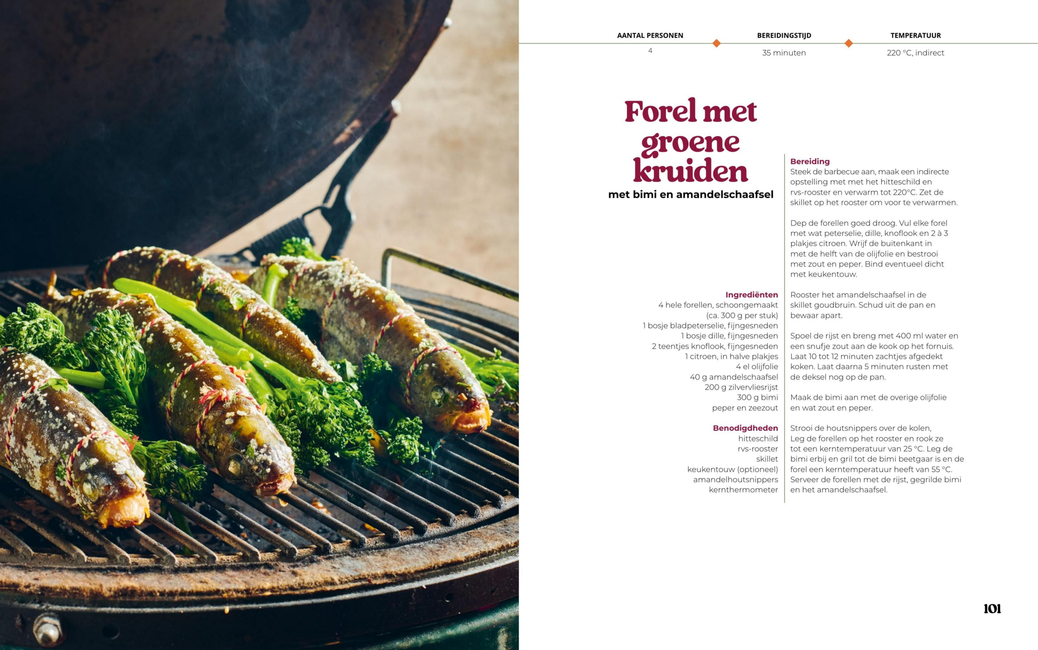 De Ultieme Reeks Gezonder BBQ'en
