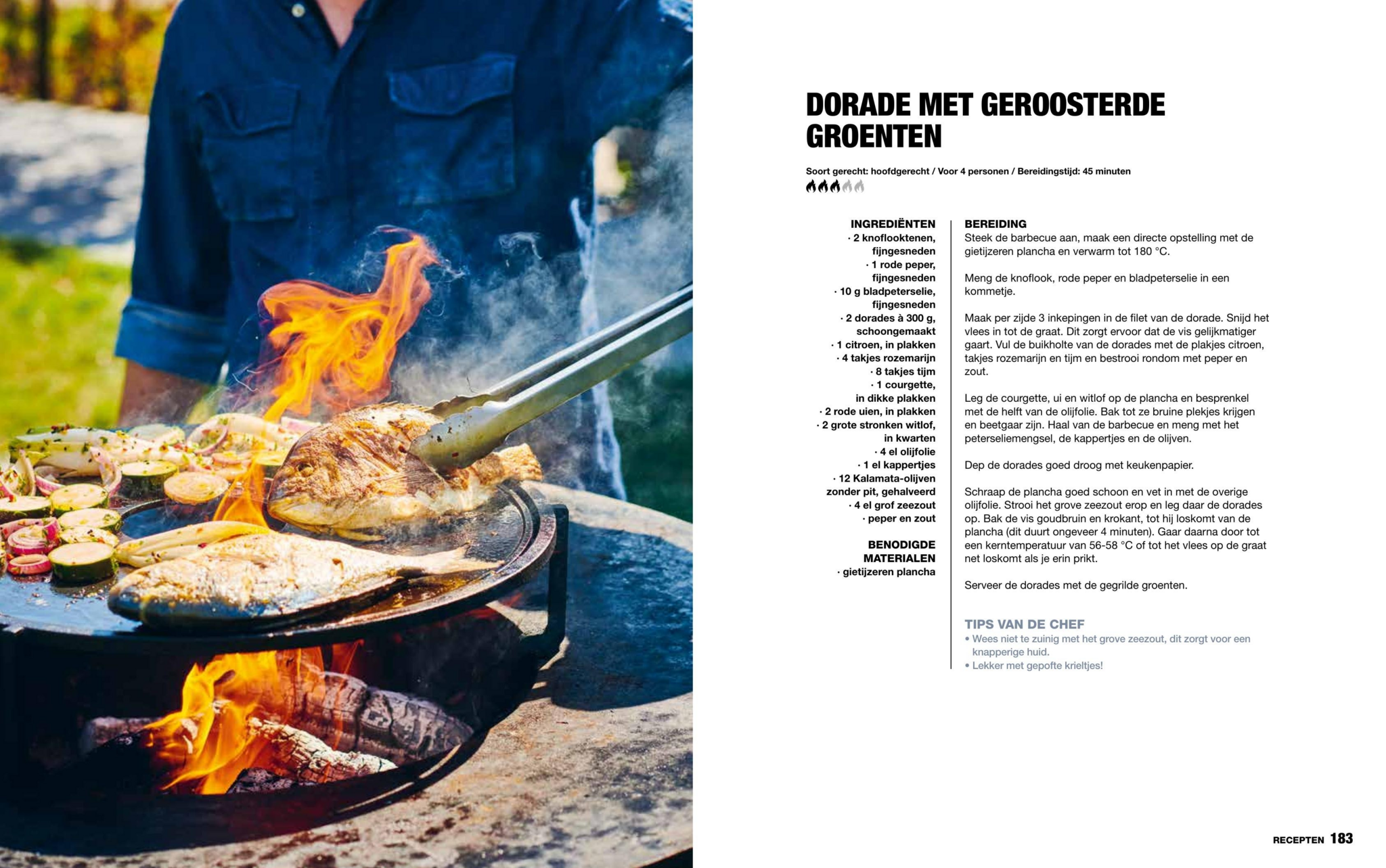 De Ultieme Reeks Het Ultieme Gietijzerboek