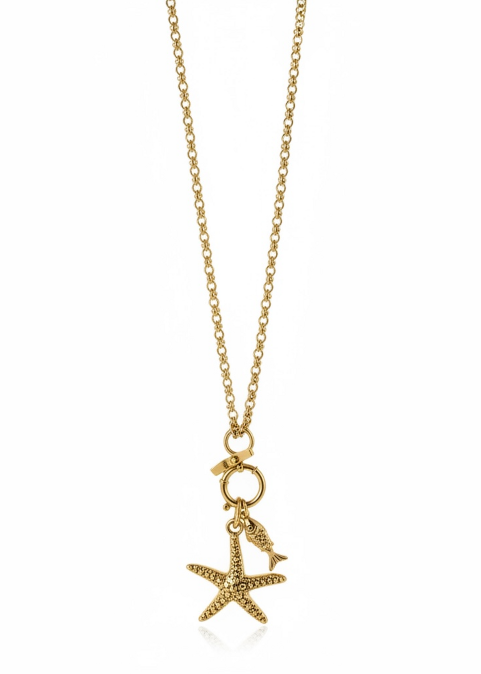 Nakony Halsketting Goudkleur, Hanger Zeester en 3D Vis Flexibel