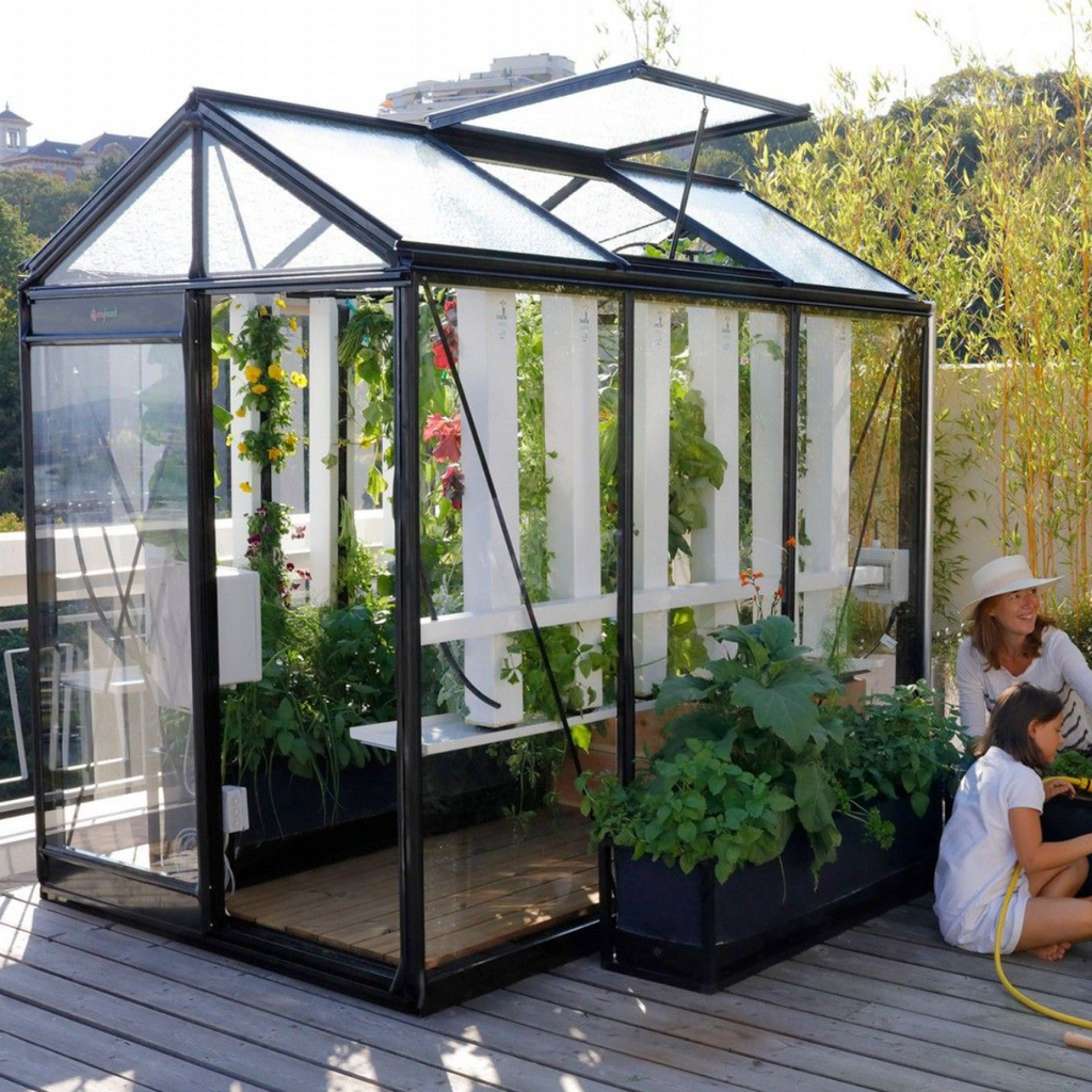 ACD tuinkassen Tuinkas Serre - Aluminium - 375 x 150 x 215