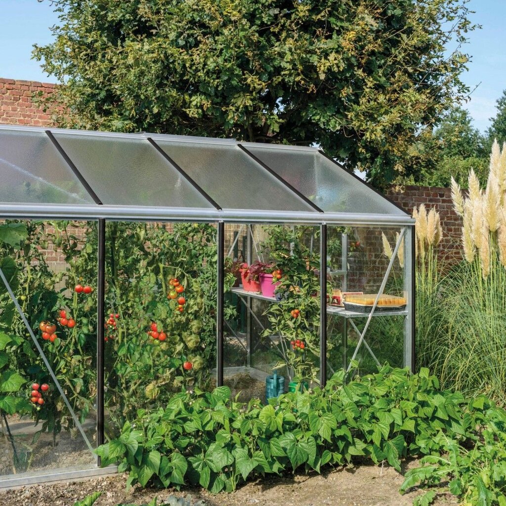 ACD tuinkassen ACD Tuinkas R204H - Aluminium  232X298 CM (BXL) 179/237 CM (H)