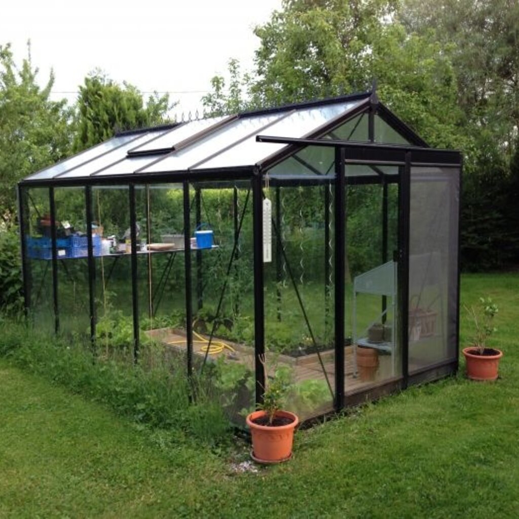 ACD tuinkassen ACD Tuinkas Blackline R205H - Aluminium - Retro Zwart - 232x371 cm (bxl) 179/237 cm (h)