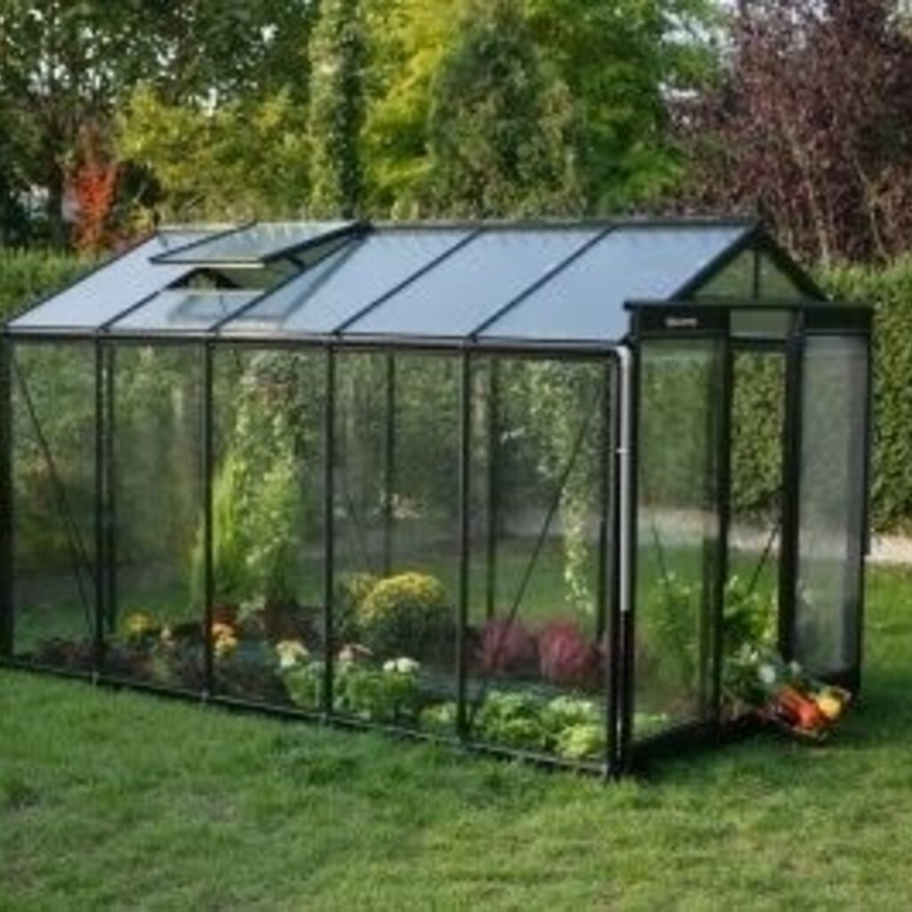 ACD tuinkassen ACD Tuinkas Blackline R205H - Aluminium - Retro Zwart - 232x371 cm (bxl) 179/237 cm (h)