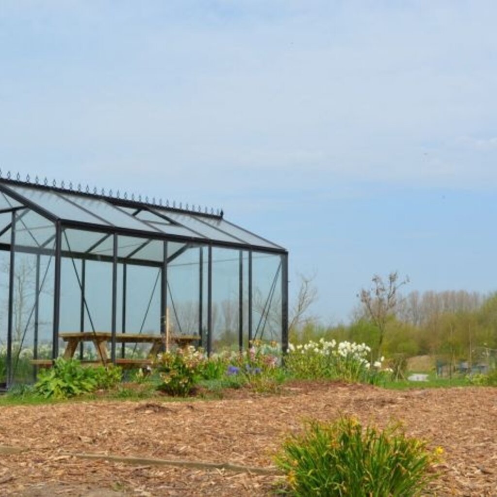 ACD tuinkassen ACD Tuinkas Blackline R205H - Aluminium - Retro Zwart - 232x371 cm (bxl) 179/237 cm (h)