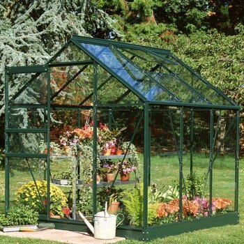 Royal Well Popular 66 groen - 193x195 cm