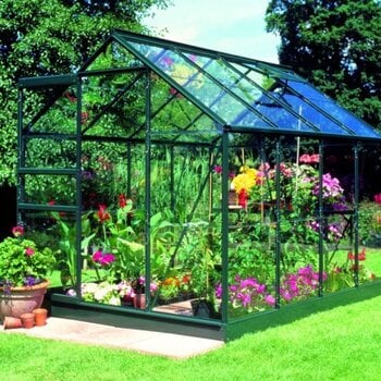 Royal Well Popular 86 groen - 193x257 cm