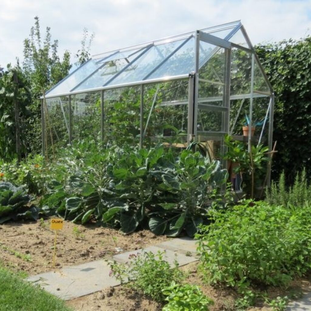 Royal Well Popular 86 blank - 193x257 cm (bxl) 124/195 cm (h)