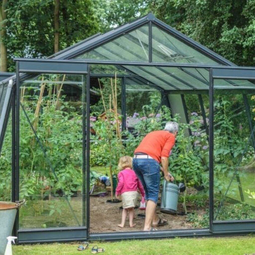 ACD tuinkassen ACD Tuinkas S207H - Aluminium 380x519 cm (bxl) 172/253 cm (h)