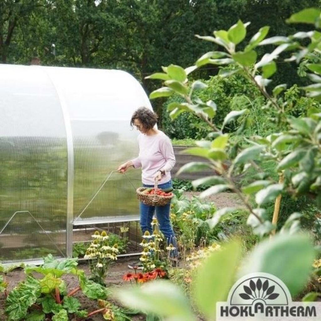 Hoklartherm Tuinkas Arcus - Type 2 - 200X200 CM (BXL) 210 CM (H)