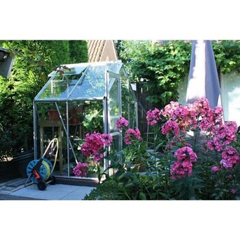 Royal Well Popular 46 Blank