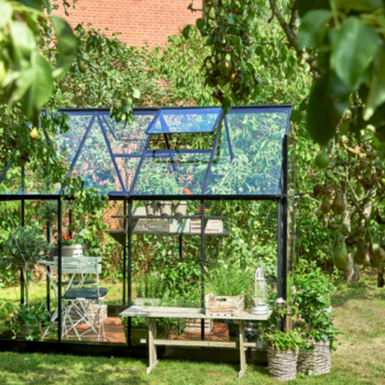 Royal Well Qube 68 zwart