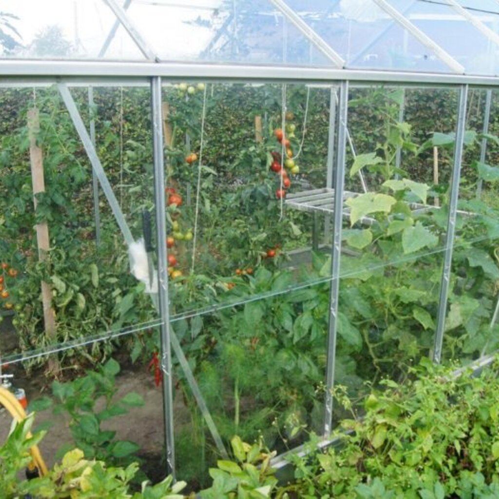 Royal Well Popular 106 blank - 193x319 cm (bxl) 124/195 cm (h)