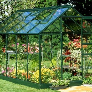 Royal Well Popular 106 groen - 193x319 cm