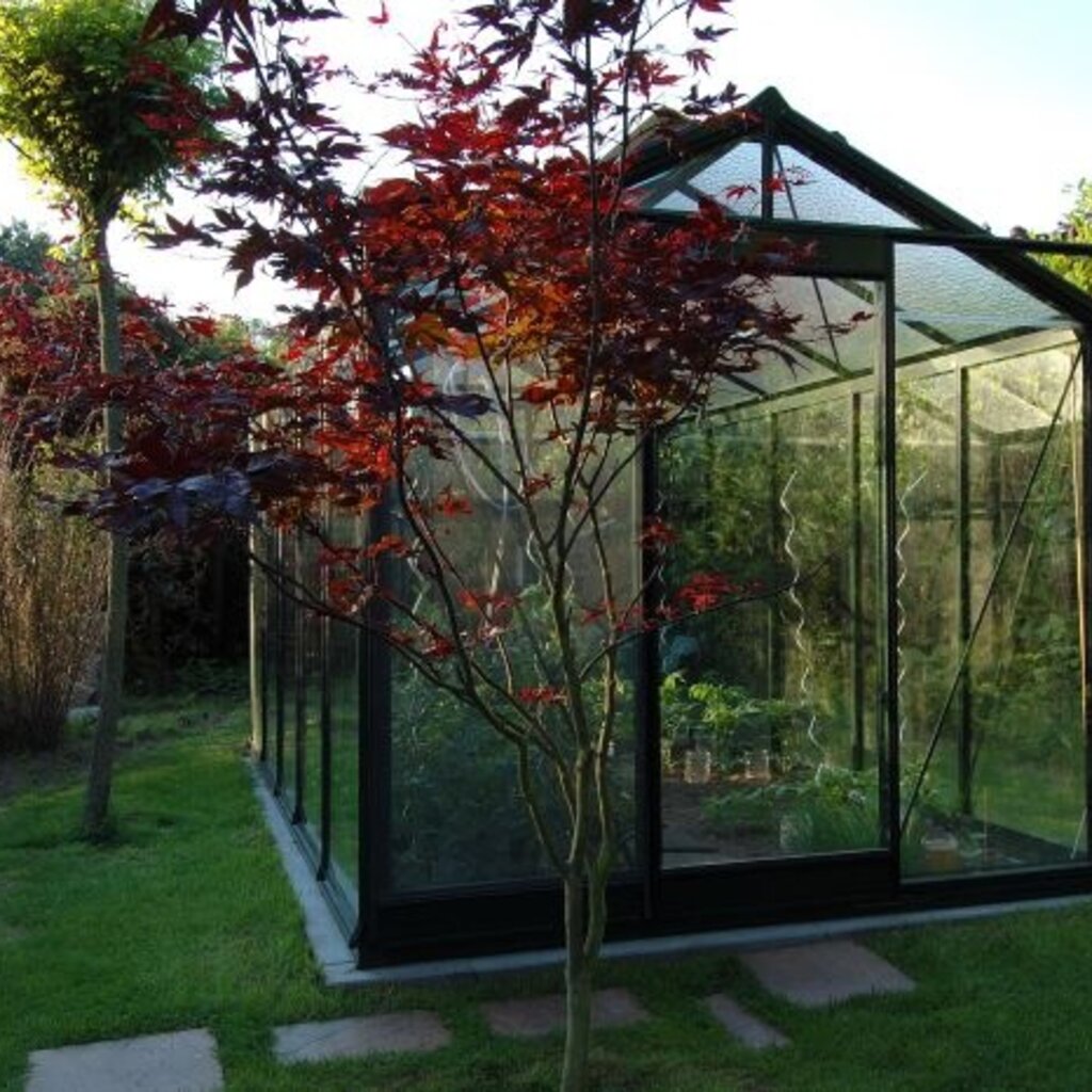 ACD tuinkassen ACD Tuinkas Blackline R204H - Retro Zwart - 232x298 cm (bxl) 179/237 cm (h)