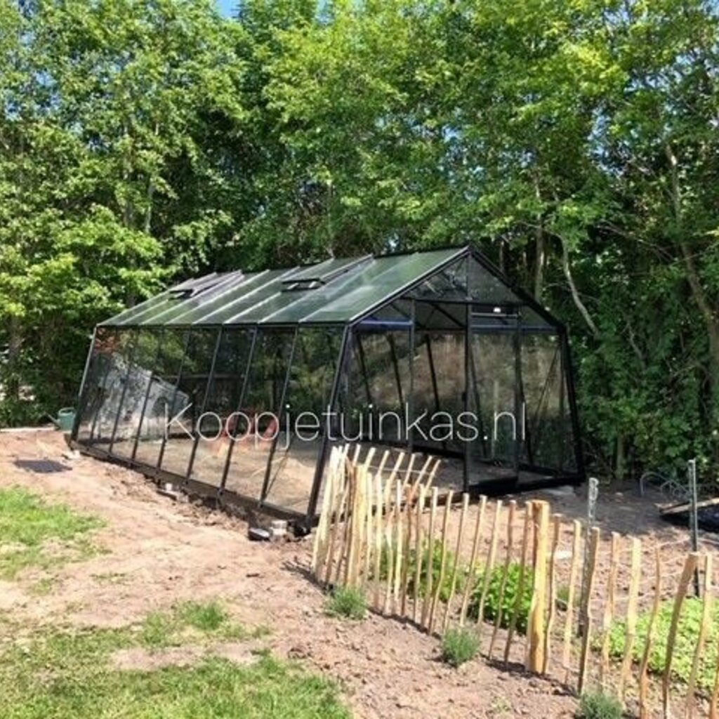 ACD tuinkassen ACD Tuinkas S206H Blackline - Retro (Zwart) - 380X445 cm (BXL) 172/253 cm (H)