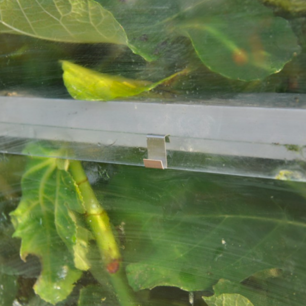 Glashaken (20 stuks)