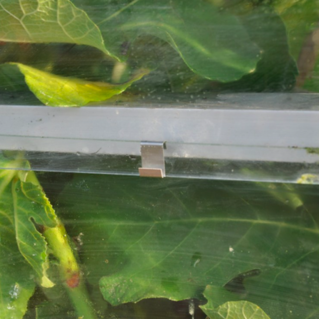 Glashaken (20 stuks)