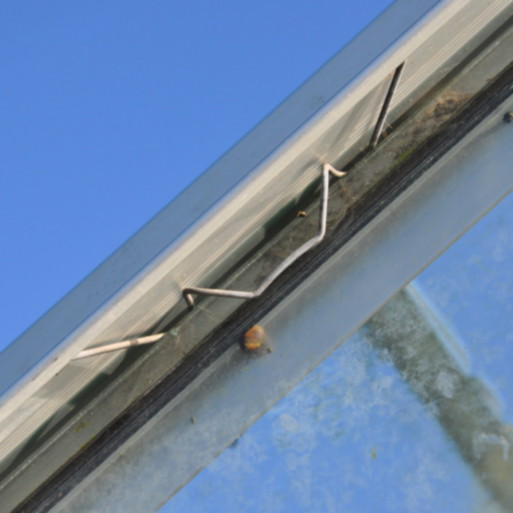 Glasklemmen 'M' - 20 X