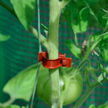 Tomato Clips - 20 X