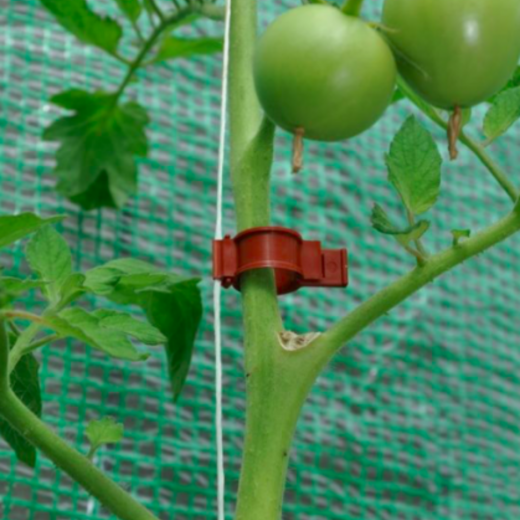 Tomato Clips - 20 X