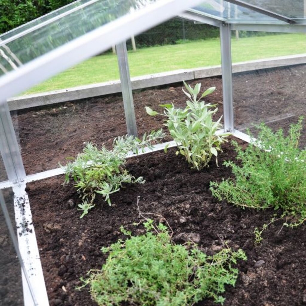 Royal Well Vier-ruits Kweekbak Glas JUMBO air 80x120cm