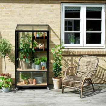 Royal Well City Garden