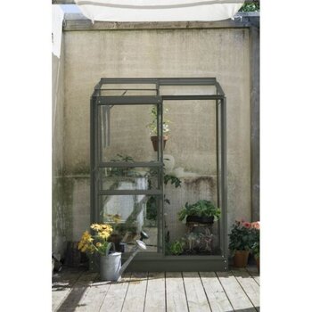 Royal Well Muurkas Emma 1