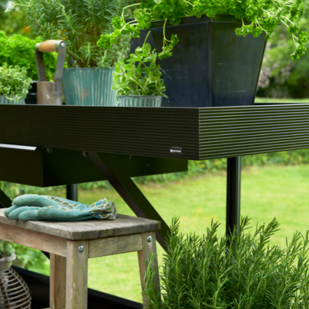 Kweektafel, Lade, Zwart