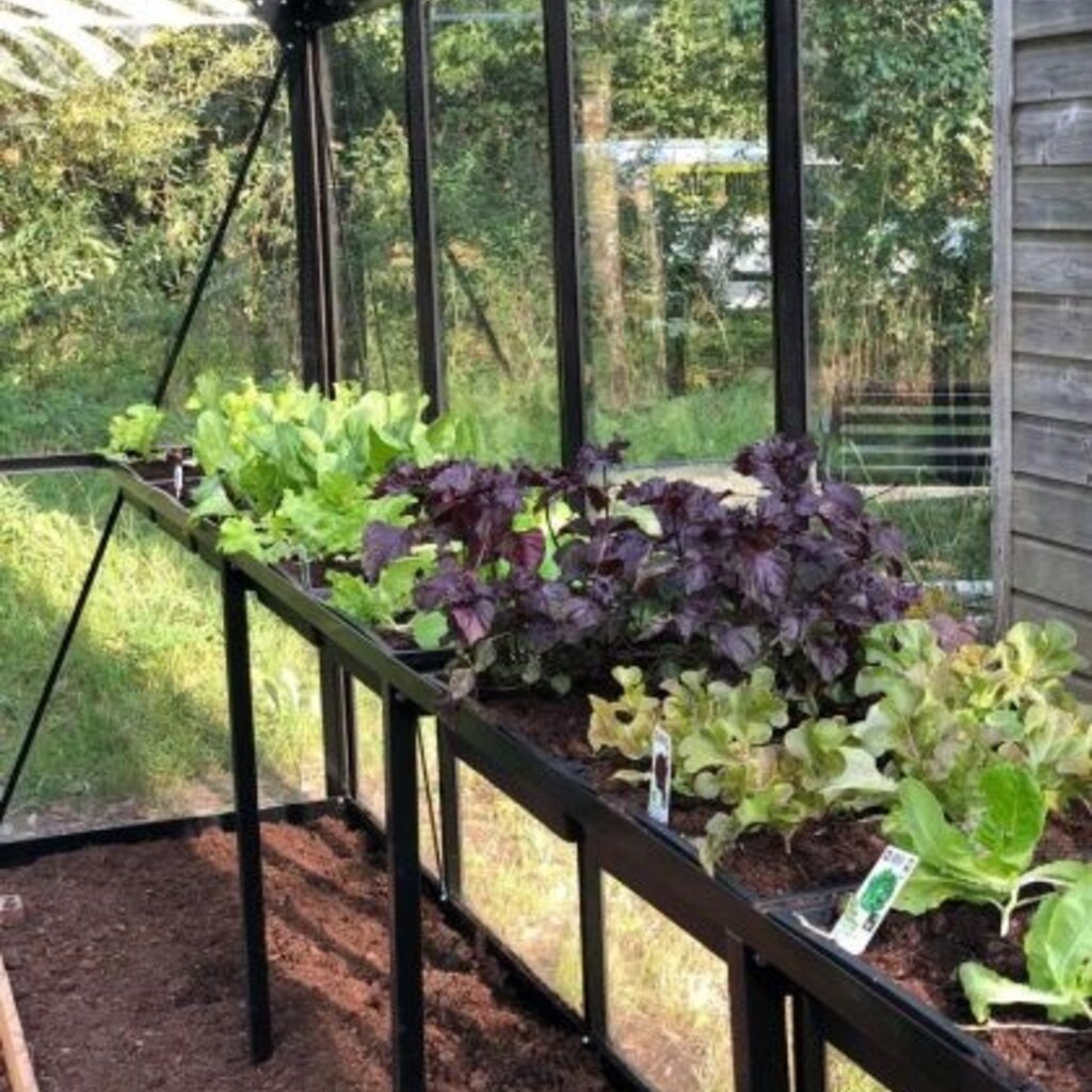 Frame voor zaaitafel voor ACD-kas / achterzijde S2 ral 9005