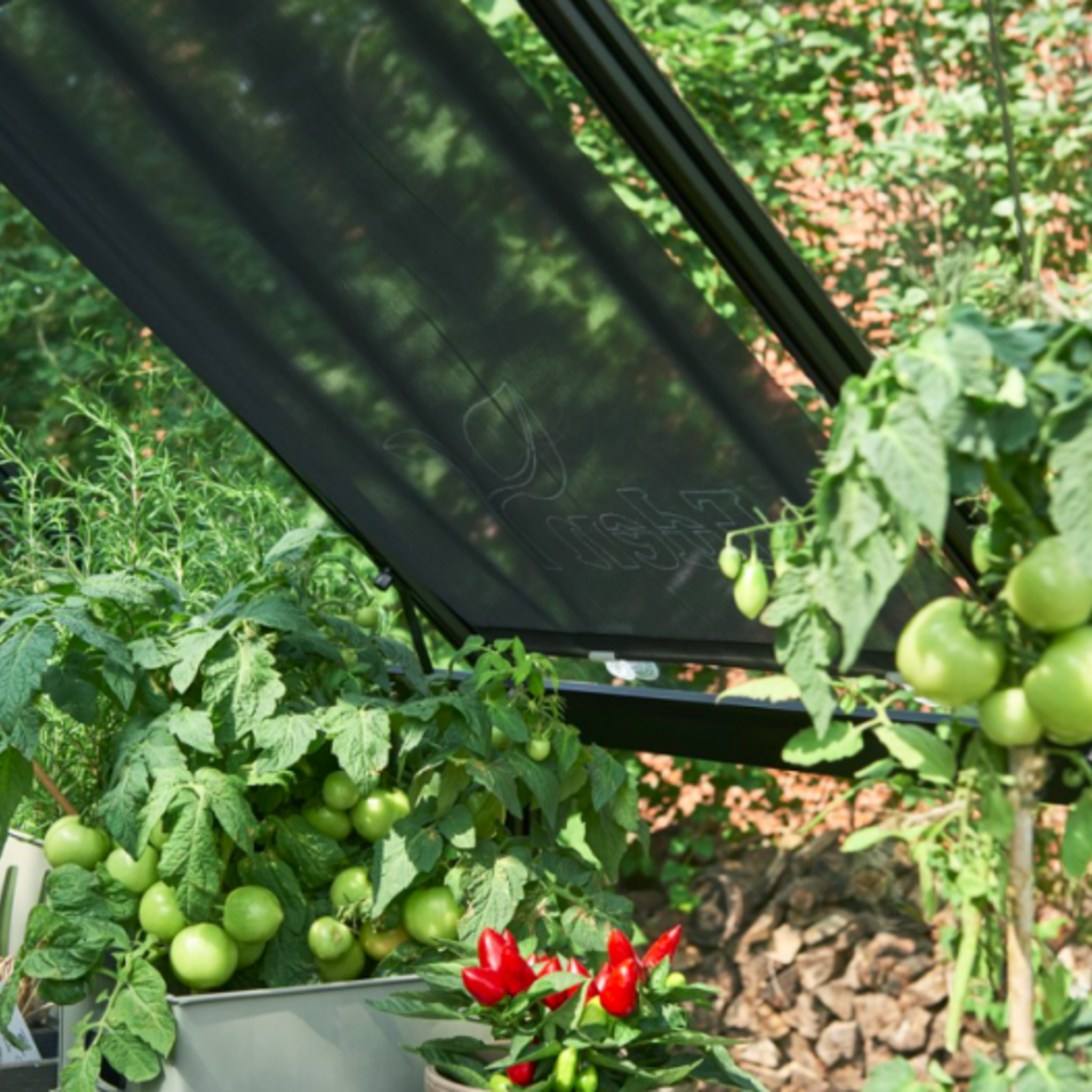 Rolscherm 67,5 x 200cm - set van 2 stuks