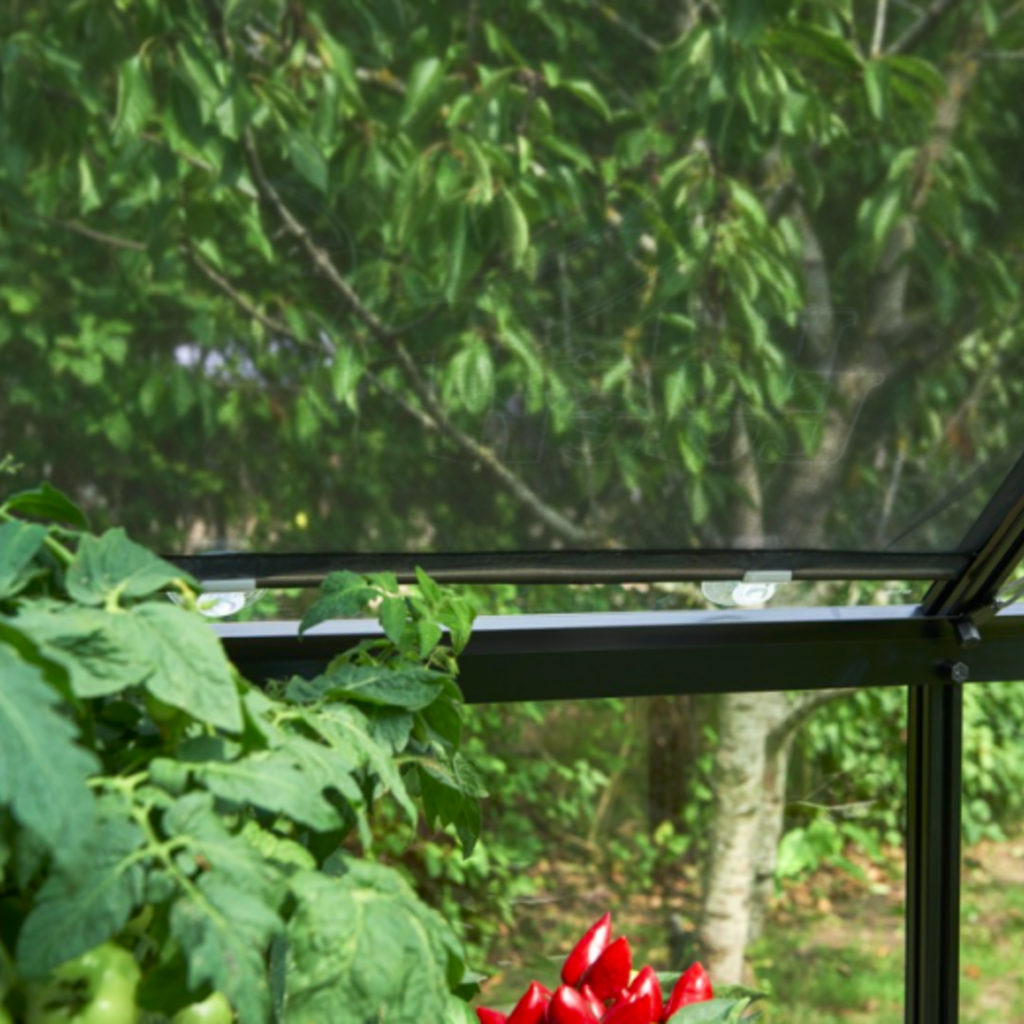 Rolscherm 67,5 x 200cm - set van 2 stuks