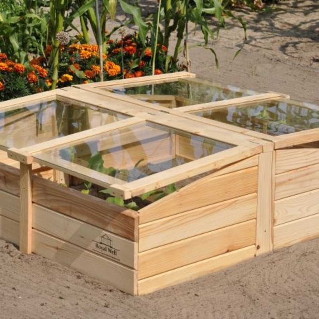 Royal Well Chili Pepper broeikas