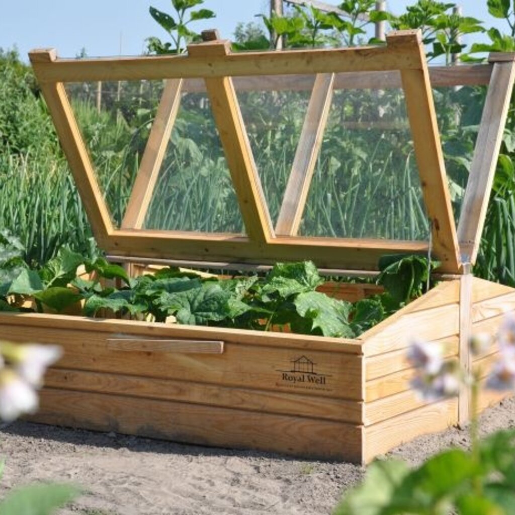 Royal Well Chili Pepper broeikas