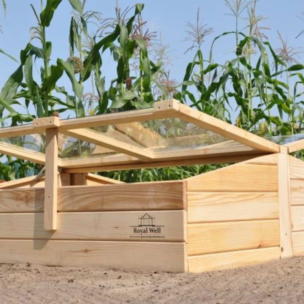 Royal Well Chili Pepper broeikas