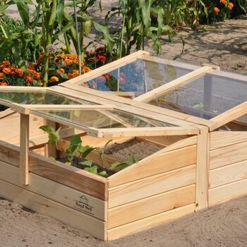 Royal Well Chili Pepper broeikas