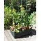  Moestuin voor balkon en terras