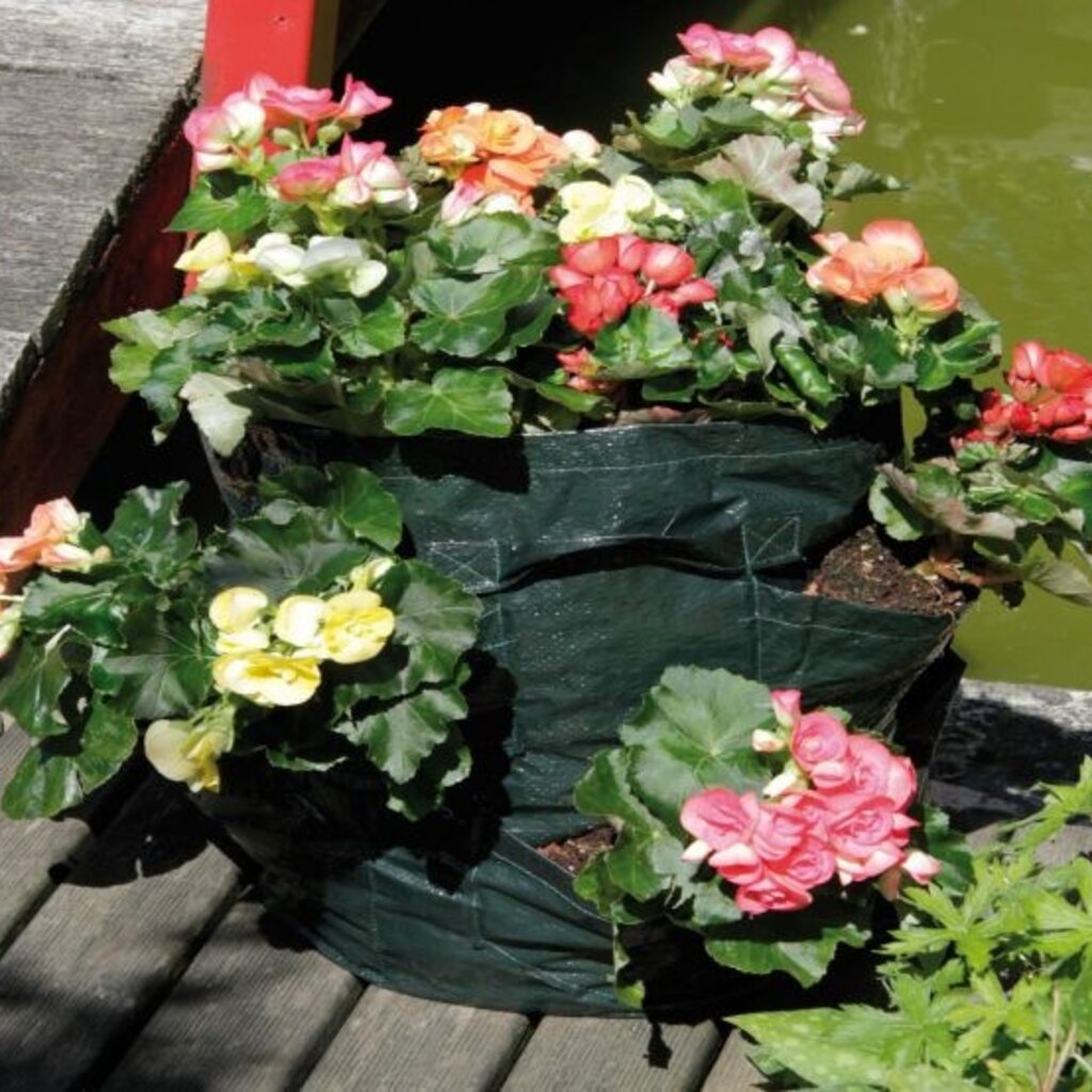 Aardbeien-en kruidentoren