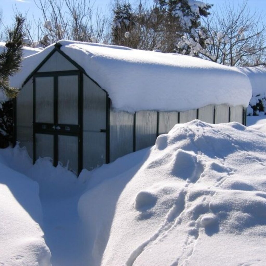 Premium Bio Topline 3.11 breed XXL