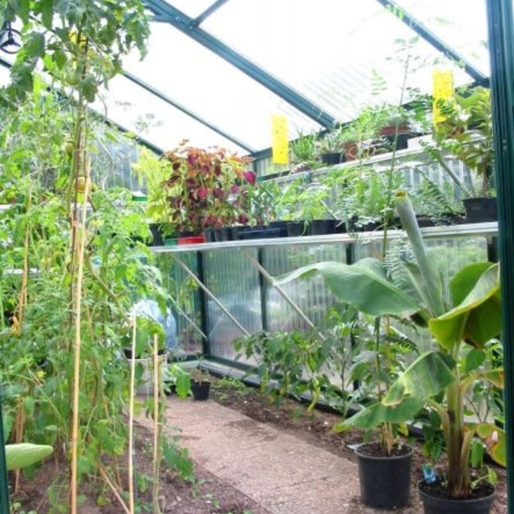 Premium Bio Topline 3.11 breed XXL