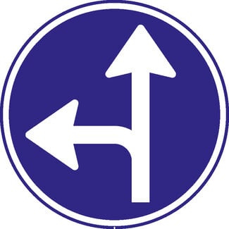 RVV verkeersbord D06L | Rijrichtingsbord | T-splitsing links