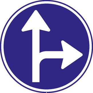 RVV verkeersbord D06R | Rijrichtingsbord | T-splitsing rechts